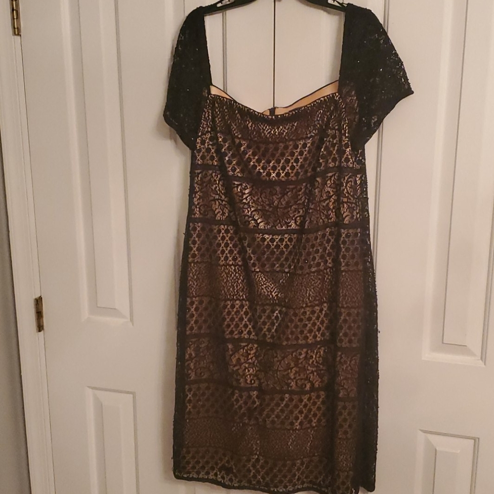 Black Dress with Satin Nude Lining
